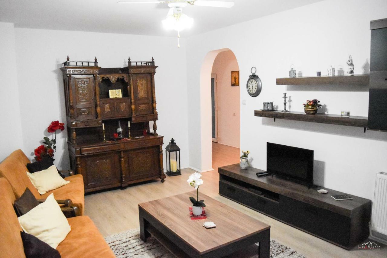 Spacious And Cozy 3Bd+Terrace Couples Apartment Timisoara Exterior photo