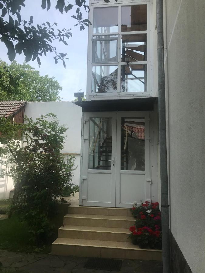 Spacious And Cozy 3Bd+Terrace Couples Apartment Timisoara Exterior photo